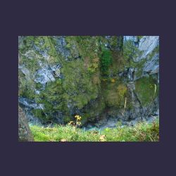 2012-10-20_Fall_AQUILA (345)b.JPG